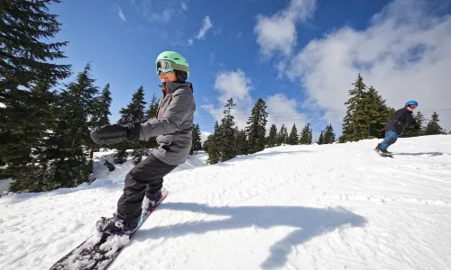 Mount Seymour Park