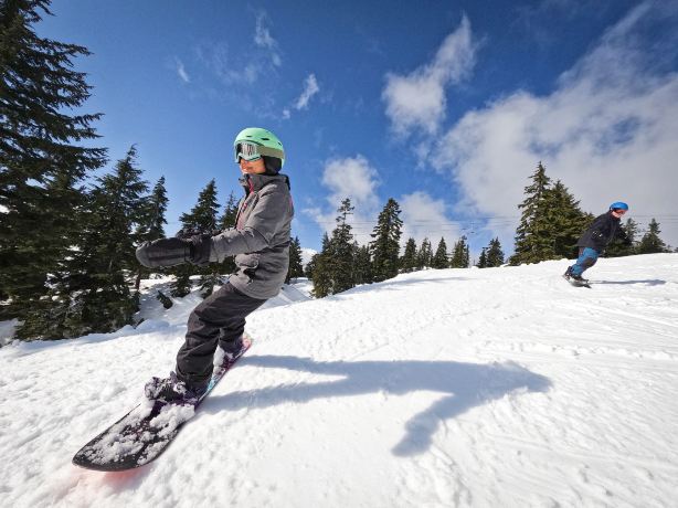 Mount Seymour Park