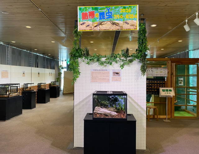 暑假特展《熱帶昆蟲2025》 | Tropical Environment Greenhouse Dome