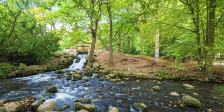 奧利沃斯基公園