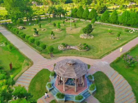 Popular Spring Outings in Lahore