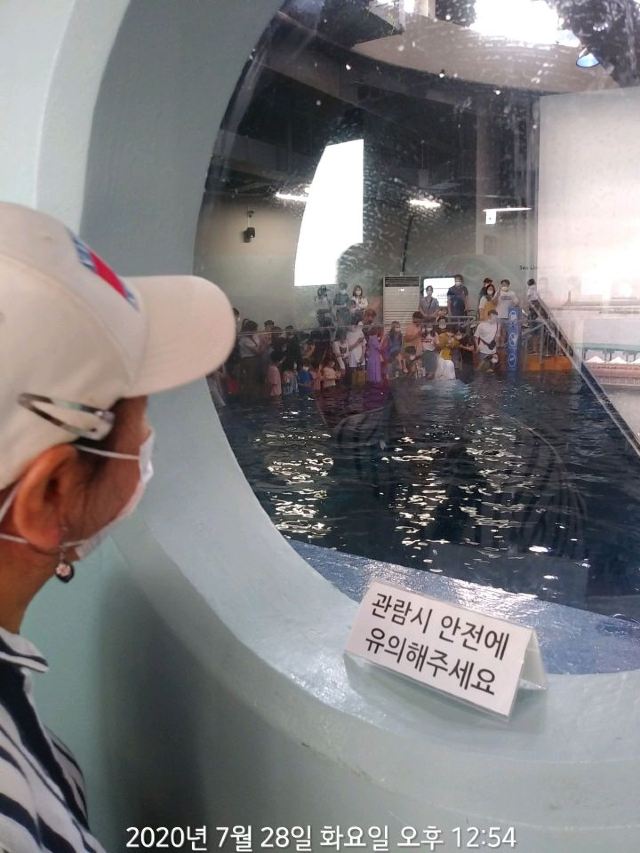 아쿠아플라넷 여수