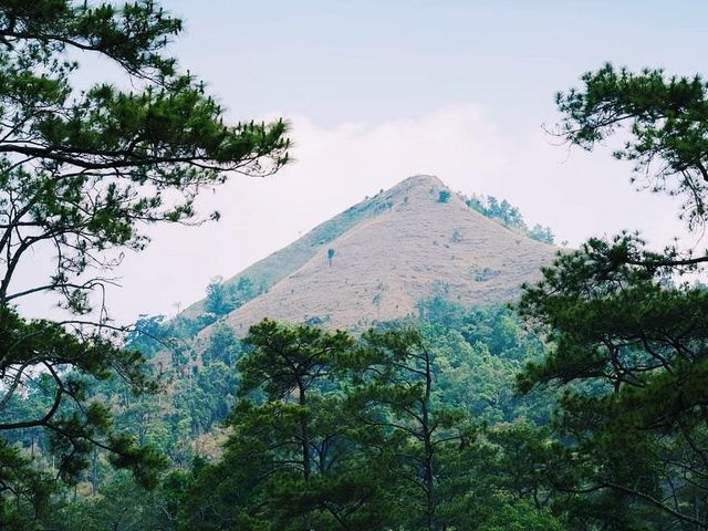 All in one national park