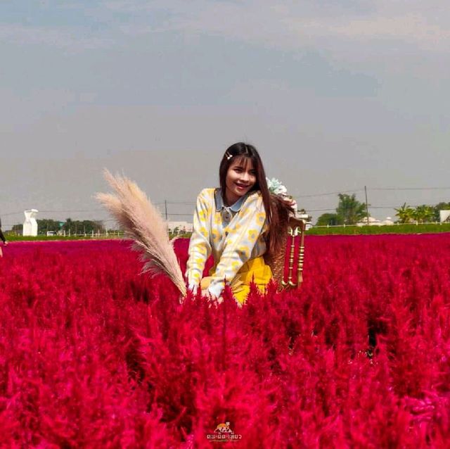 จ๊วด คาเฟ่ ขอนแก่น