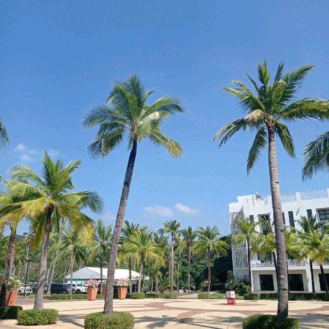 Camaya Coast Resort