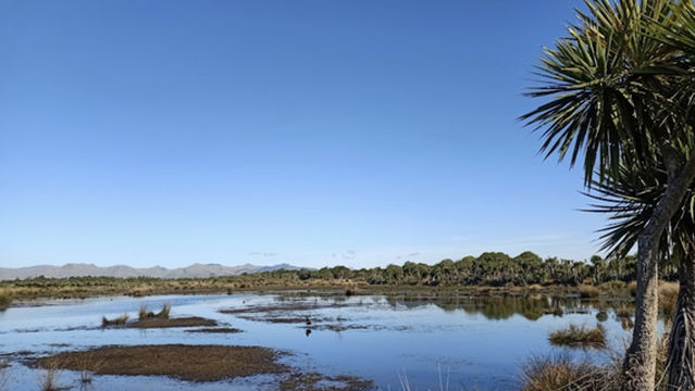 Travis Wetland Nature Heritage Park