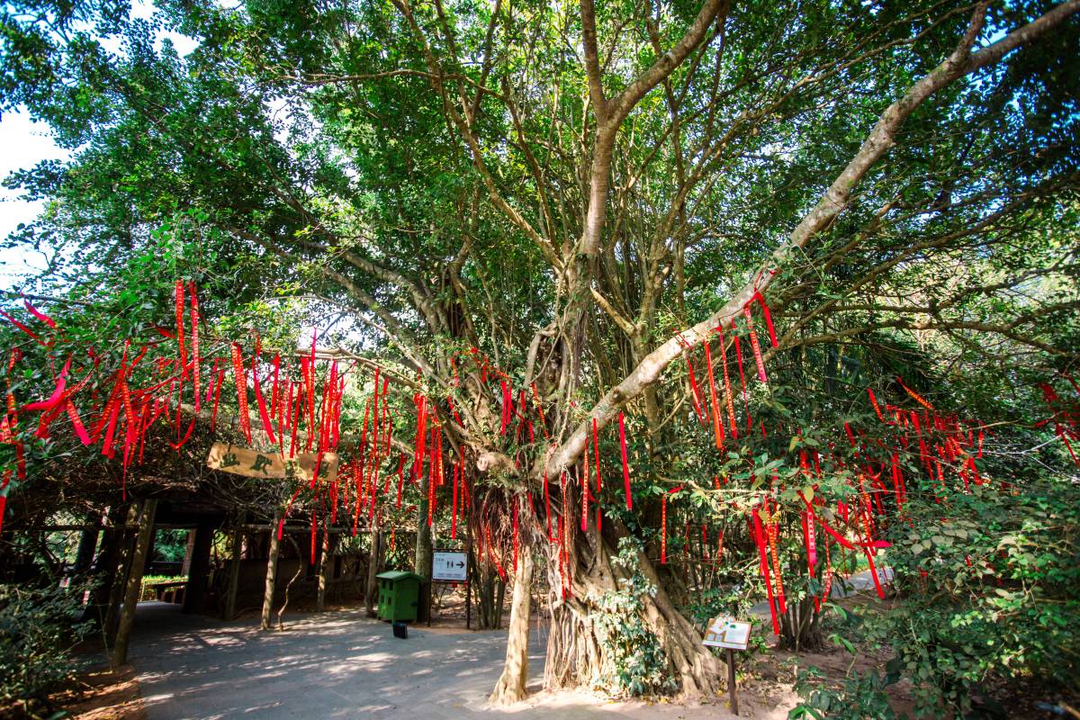 Остров обезьян Санья