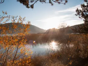 수수이 장원춘