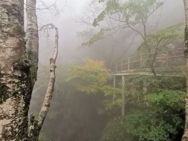 牛背梁国家森林公園