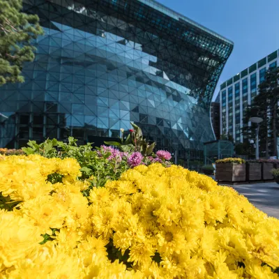 Бутик Отели в г. Сеул