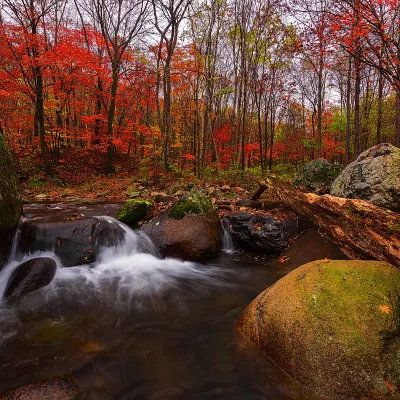 Отели с услугой парковкой в г. Дашицяо