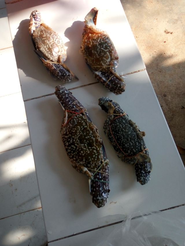 Ko Samet