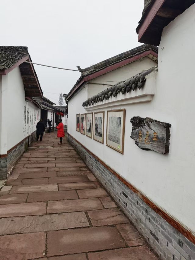 면죽년화촌