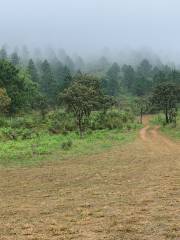 Parc Natural De La Zona Volcànica De La Garrotxa