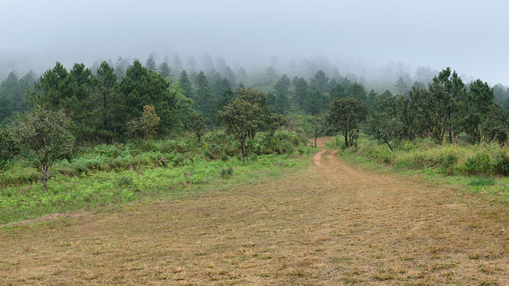 La Garrotxa Volcanic Zone Natural Park