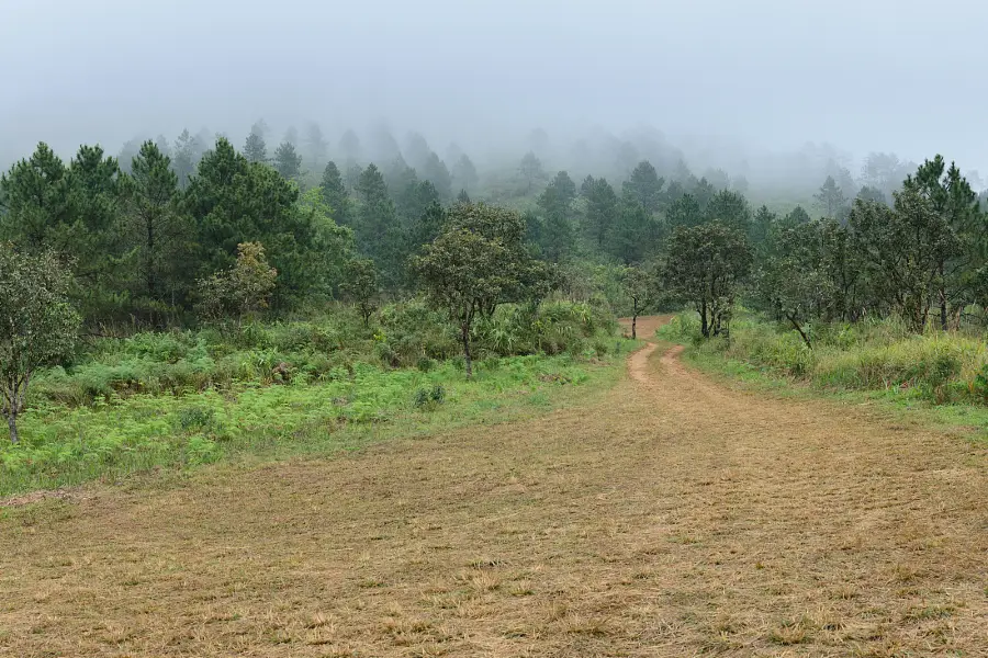 卡羅薩火山自然公園