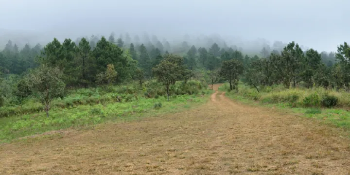 卡羅薩火山自然公園