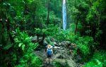 Akaka Falls State Park