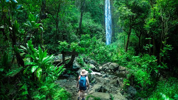 ʻAkaka Falls State Park