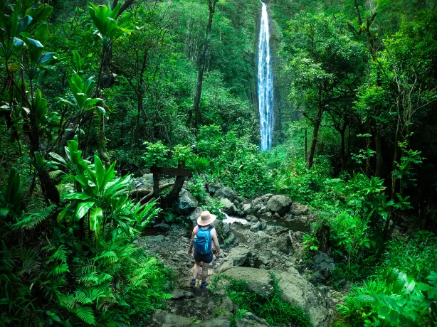 ʻAkaka Falls State Park