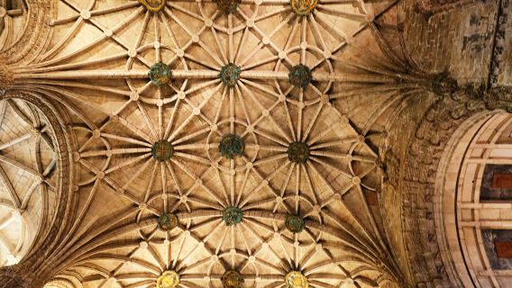 tour di un giorno al Castello di Leeds + Cattedrale di Canterbury + Scogliere Bianche di Dover [guida inglese]