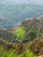 Parc d'État du Waimea Canyon