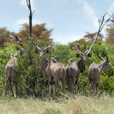 Отели рядом с достопримечательностью «Оудсхорн»