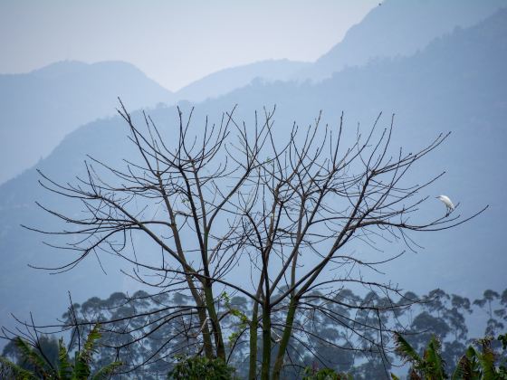 Langqi Island