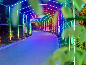 Nantong Forest Safari Park