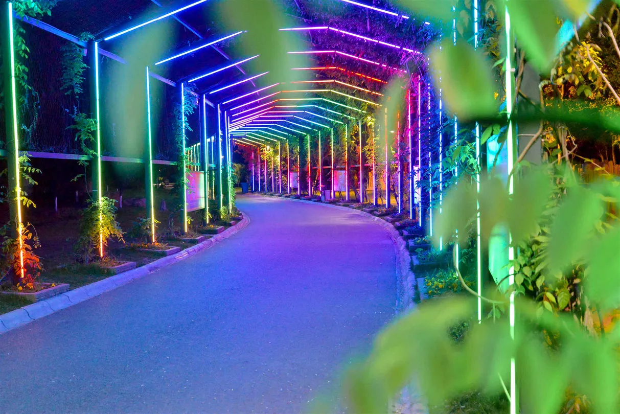 5_Nantong Forest Safari Park