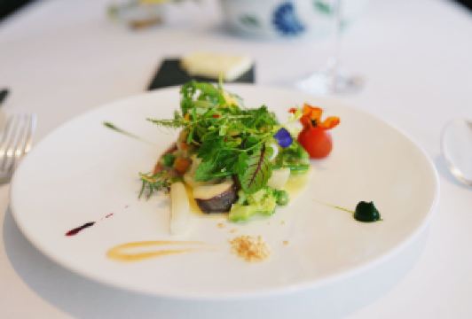 莫里哀用戶圖片