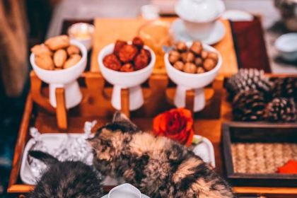 丽江吾莫青庐雪山博物馆酒店·餐厅