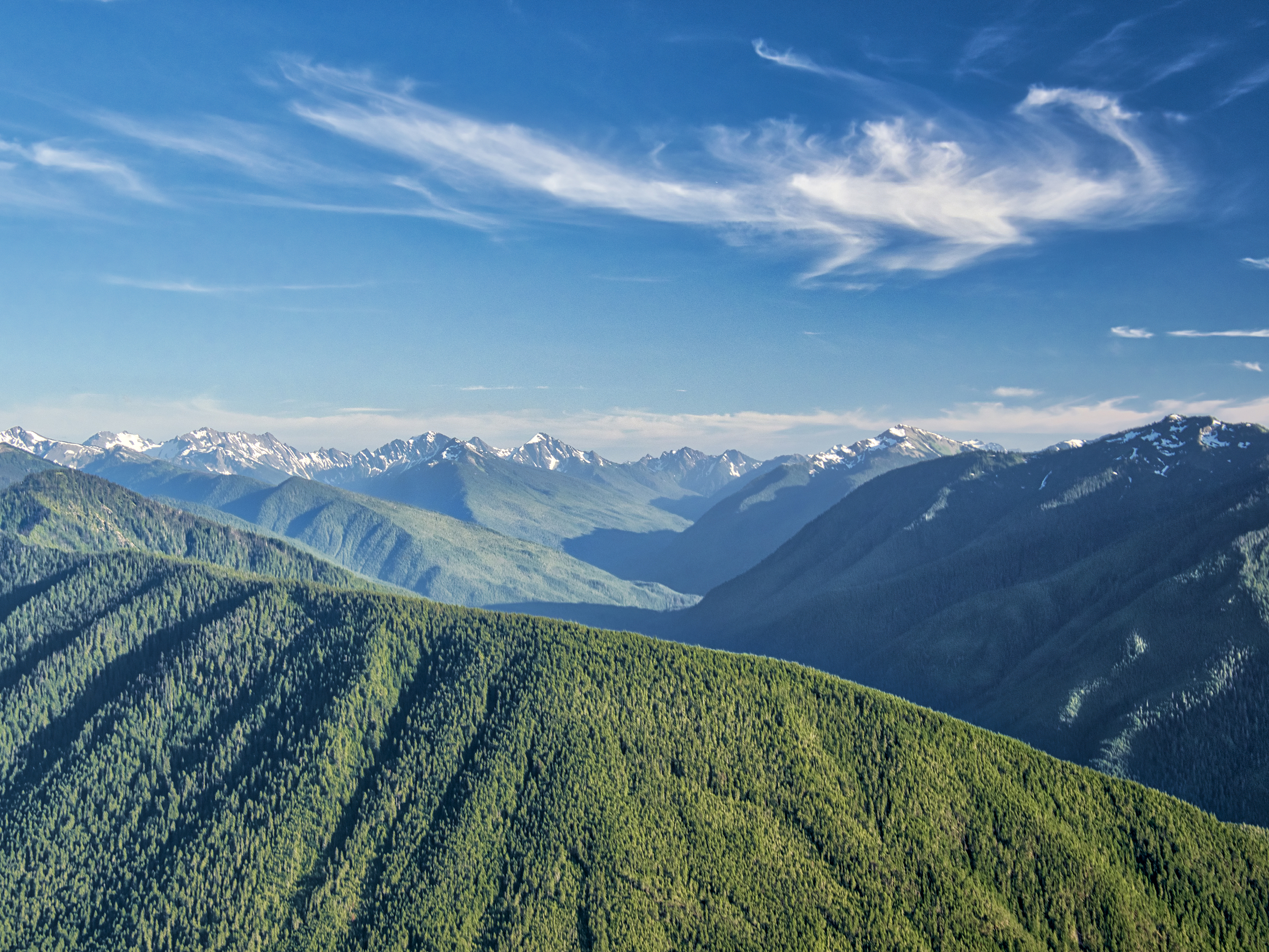 2025 Olympic National Park Travel Guide: Must-see attractions, popular food, hotels, transportation routes (updated in June)