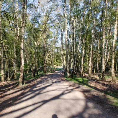 Разрешено размещения с домашними животными Отели в г. Гилфорд