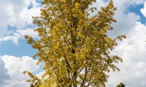Meishan Reservoir Scenic Area