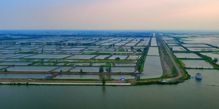 Hong Lake Marsh