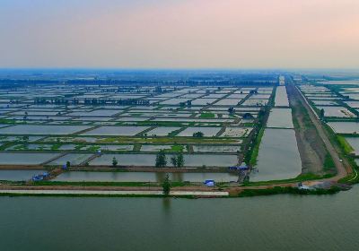 Hong Lake Marsh