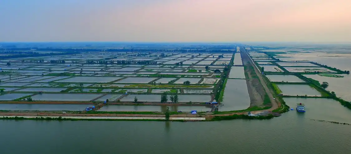 Hotels near Hong Lake Marsh
