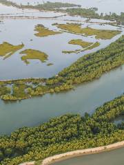 Zhanjiang Mangrove National Nature Reserve