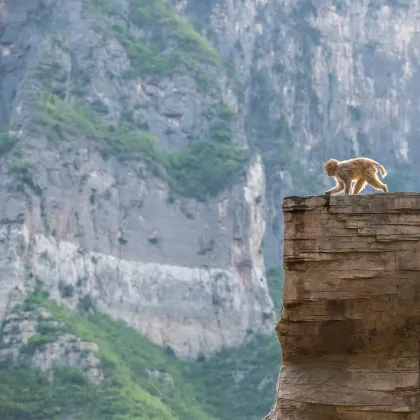 Qianyu Qianxun Hotel (Jiyuan Branch)