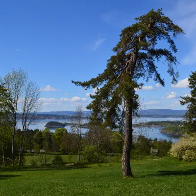 Отели с услугой бассейном в г. Осло