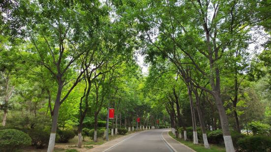 浞河景区，是当地的一家城市湿地公园，位于潍坊市开发区与寒亭区