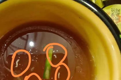 强记清汤黄牛肉·涮烤一体(吉庆路店)