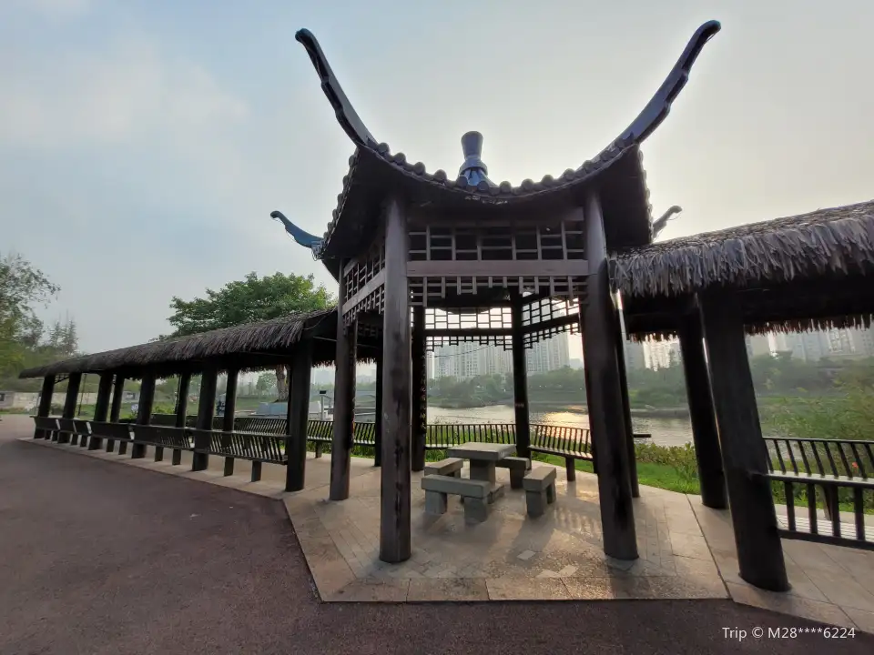 4_龍景湖公園