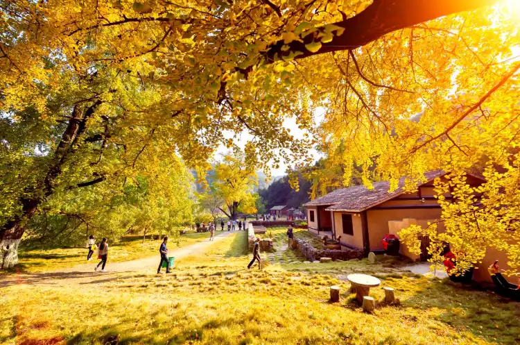 Yeste Hotels in Suizhou