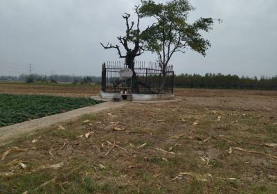 Bowangpo Ruins