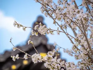 The City of Tang Dynasty