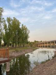 Changyuanhe National Wetland Park