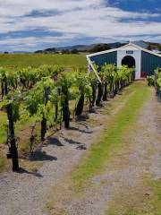 Martinborough Wine Village