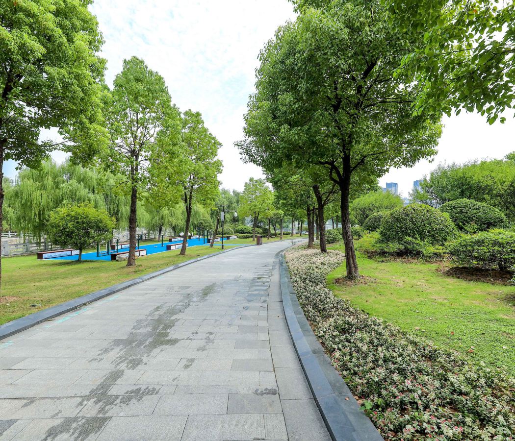 Shannan New District Huainan City Business Circle